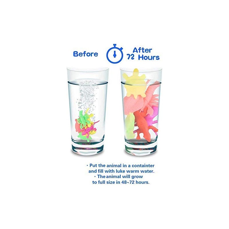 Magic Grow in Water Toy Dino
