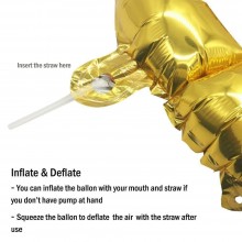 Pizza Foil Balloon