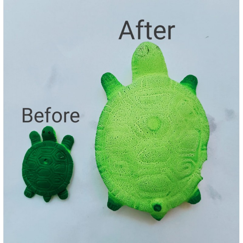 Wonder Grow in Water Toy Animal
